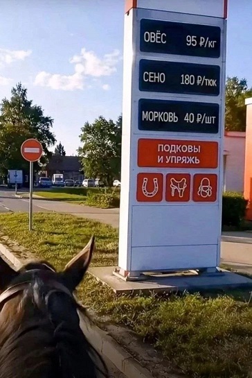 https://i3.imageban.ru/out/2026/09/17/d0b530c938a892649bb60e0dae1c7a66.jpg