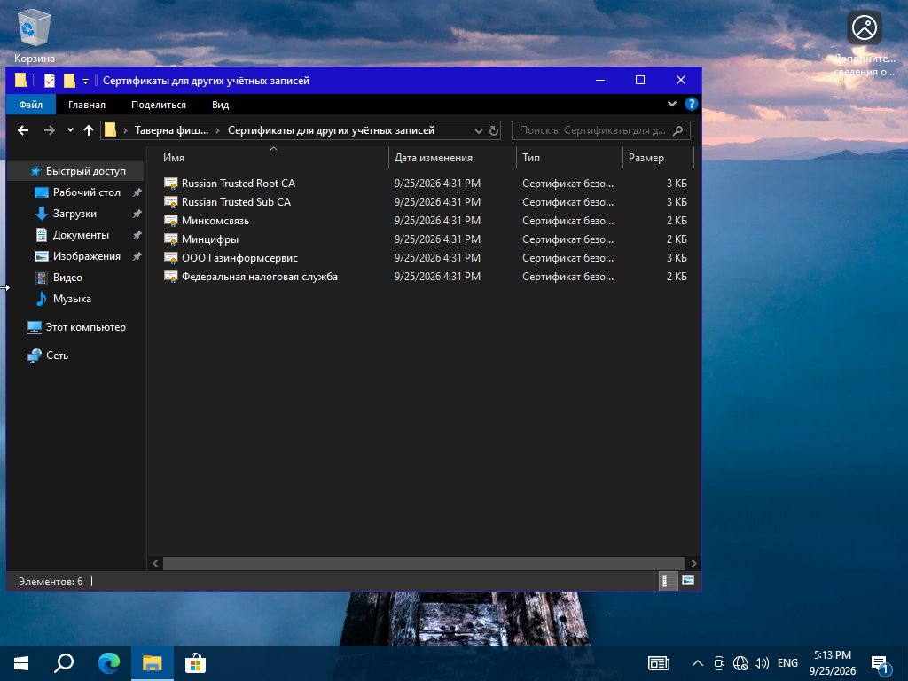 Windows 11 x64 (2)-2026-09-25-17-13-26.png