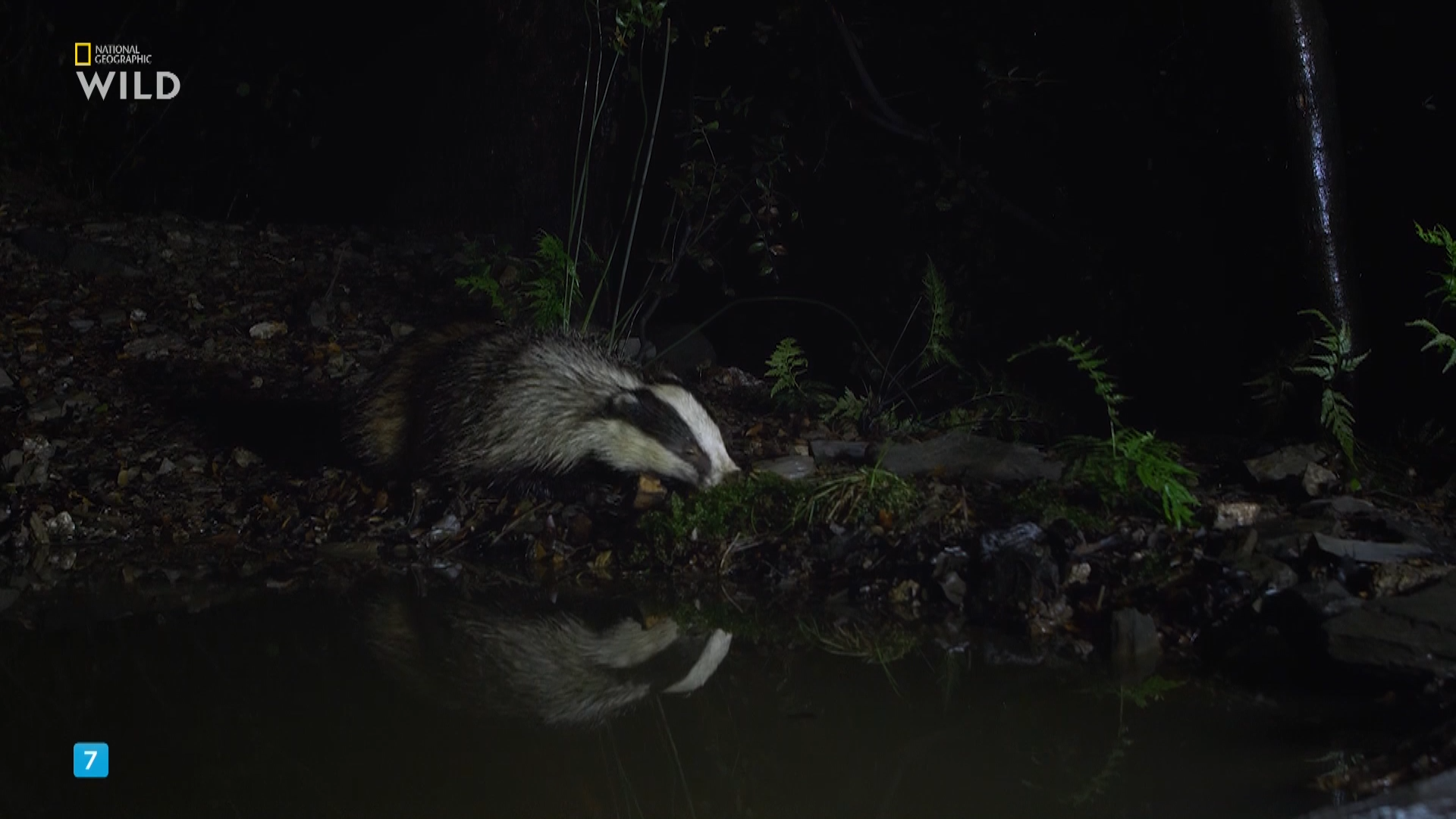 01. Земля.mkv_snapshot_10.12.440.png