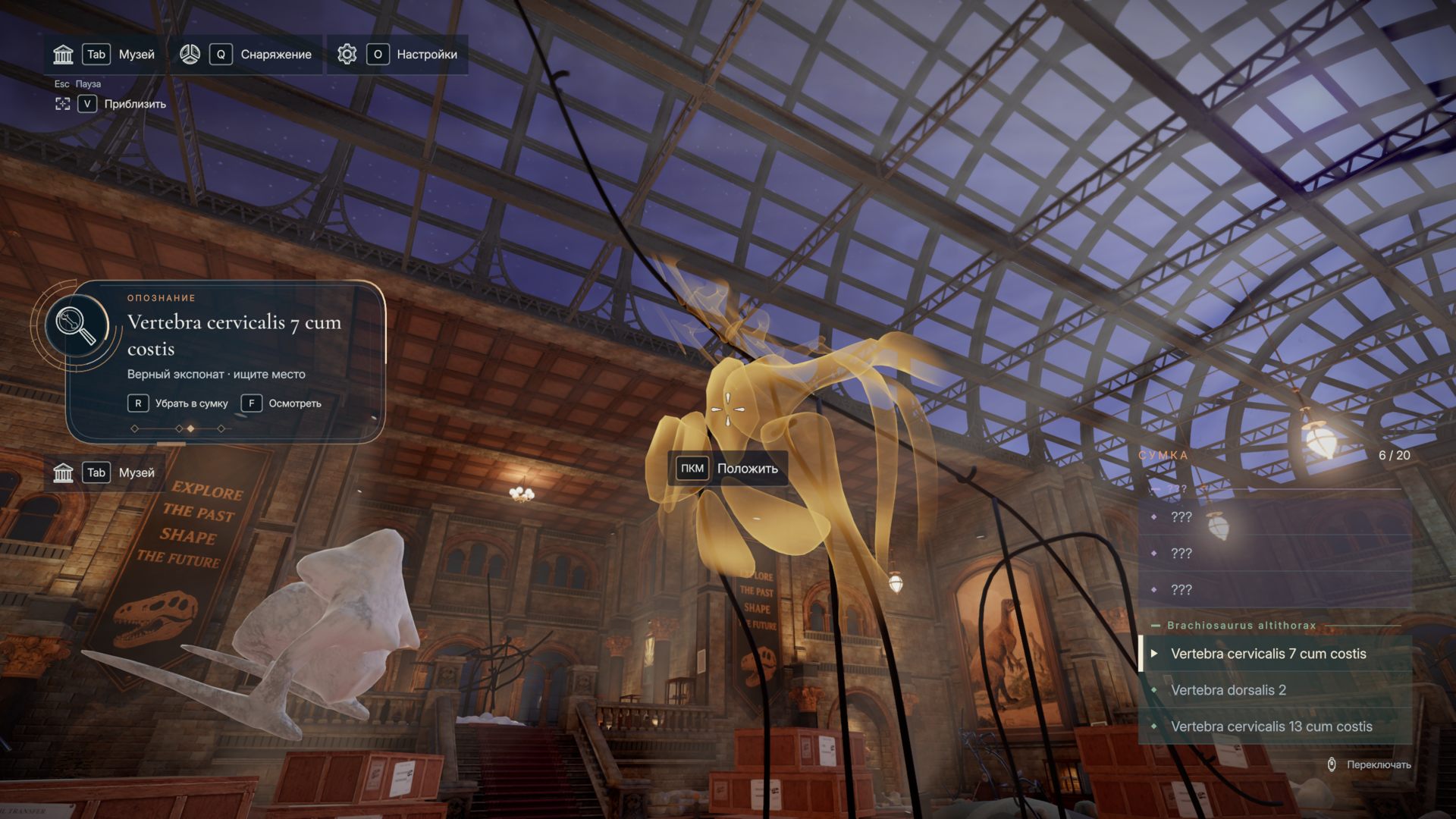 DinoBones_4999.png.jpg