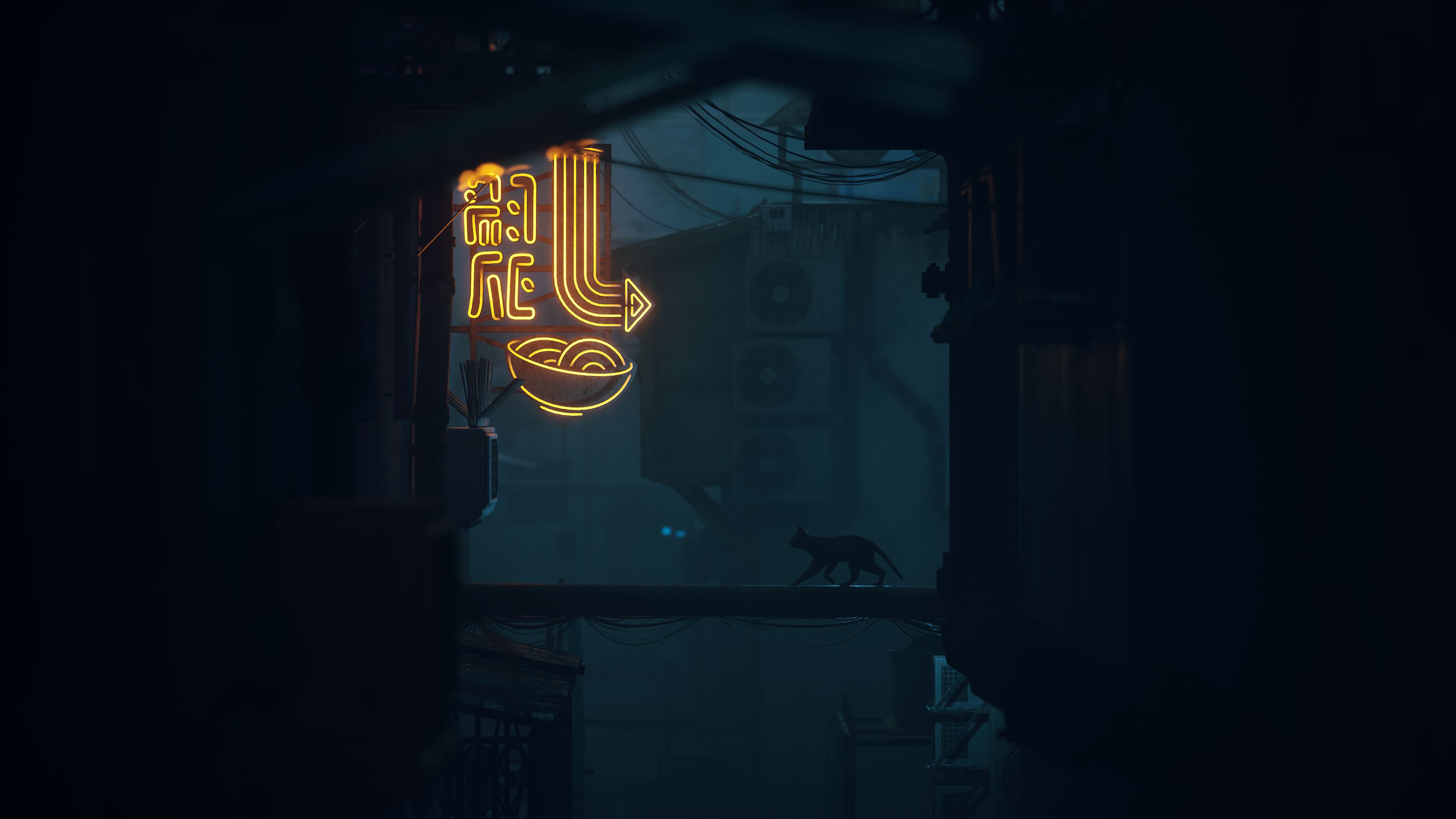 stray-6.jpg