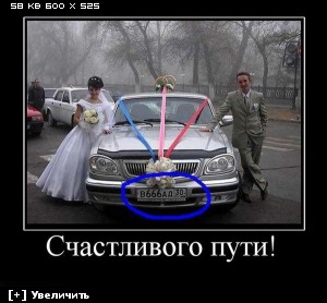 http://i3.imageban.ru/thumbs/2012.12.10/be5bed8b3872a1cb2f5c9c6befa3e71a.jpg