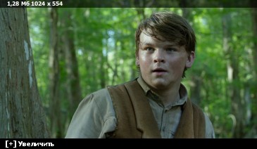 ��������� ���� ������ / Free State of Jones (2016) BDRip-AVC | iTunes | 2.14 GB