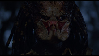 Хищник: Коллекция / Predator: Collection (1987-2018) Blu-Ray Remux 1080p Хищник: Коллекция / Predator: Collection (1987-2018) Blu-Ray Remux 1080p
