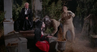   / Orgy of the Dead (1965) BDRip-AVC  ExKinoRay | A | 1.08 GB