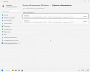 Windows 11 Pro x64 22H2 [Build 22621.963] [Update 21.12.2022] (2022) PC от ivandubskoj | FIX | RUS