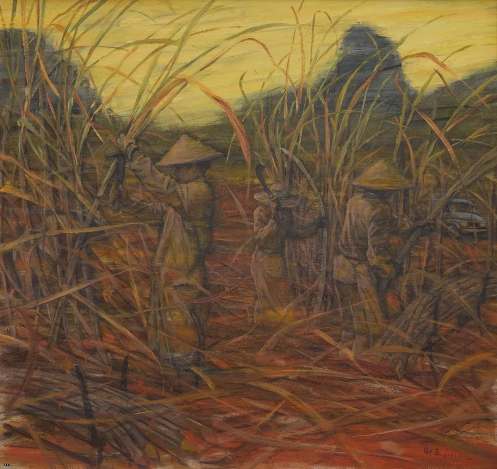 Коллекция тропика Рака: сахарный тростник на красной глине 