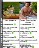 https://i3.imageban.ru/thumbs/2024.08.25/3471da0c7626849b139f416247c72fae.jpg