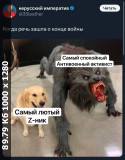 https://i3.imageban.ru/thumbs/2025.02.14/0ff5ff5ae72628cd9ff24660ee6926fa.jpg