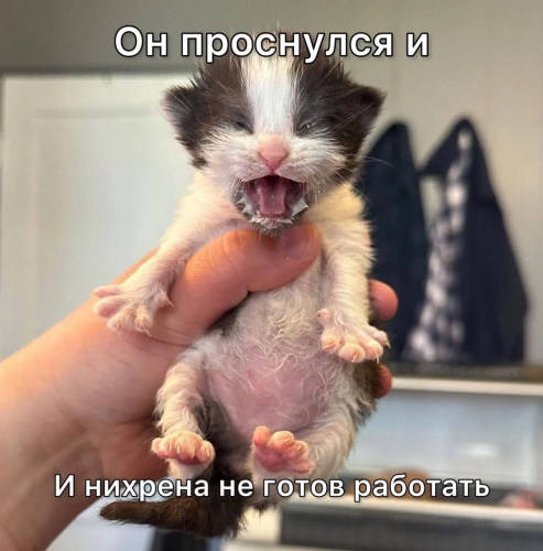 кты 