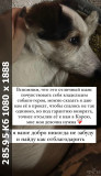 https://i3.imageban.ru/thumbs/2025.06.10/23e61f7c757ce557cba26413bd24df13.jpg