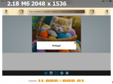 https://i3.imageban.ru/thumbs/2025.06.11/ba1a5b989b5114130169541f3b5c3386.png