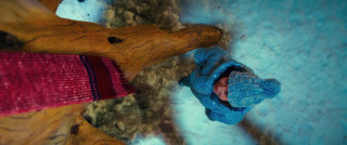 �������� (2025/WEB-DL/WEB-DLRip)