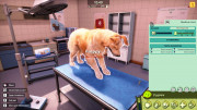 Animal Shelter 2 Little Friends [v 1.1.0 + DLC] (2025) PC | RePack by Drake