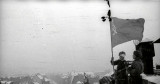 https://i3.imageban.ru/thumbs/2026.04.30/409d02753dd27fa58a29d0e7b31ccf36.jpg
