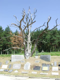 https://i3.imageban.ru/thumbs/2026.06.22/3db69ab61b691d5589db05caaf9226d1.jpg