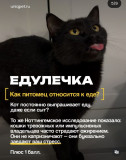 https://i3.imageban.ru/thumbs/2026.07.23/51c3e56e7e7d90084f516a0239ee4075.jpg