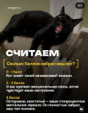 https://i3.imageban.ru/thumbs/2026.07.23/59434e065f8e521e74c231d2277d2127.jpg